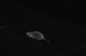 Unmotivator Unmotivator.com images (2)